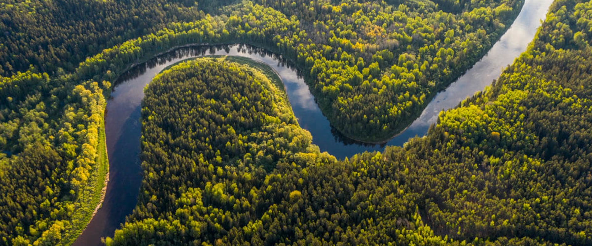 Discover the Magic of the Amazon with Unforgettable Rainforest Trips