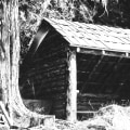 Repairing Structures in the Forest: A Guide