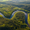 Discover the Magic of the Amazon with Unforgettable Rainforest Trips