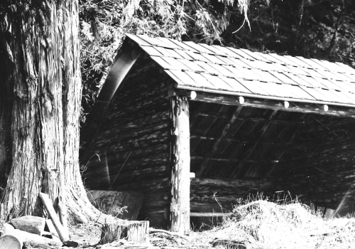 Repairing Structures in the Forest: A Guide