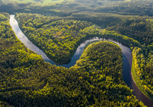 Discover the Magic of the Amazon with Unforgettable Rainforest Trips